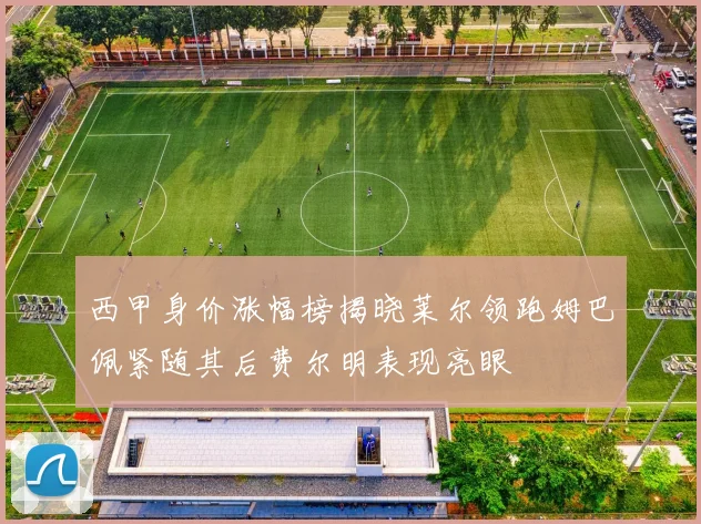 西甲身价涨幅榜揭晓莱尔领跑姆巴佩紧随其后费尔明表现亮眼