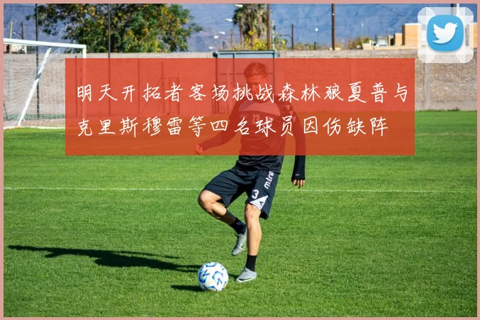 明天开拓者客场挑战森林狼夏普与克里斯穆雷等四名球员因伤缺阵
