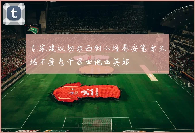 专家建议切尔西耐心培养安塞尔米诺不要急于召回他回英超